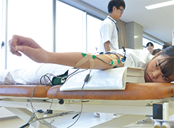 Department of Physical Therapy