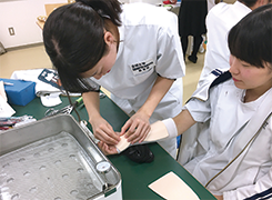 医疗健康学部